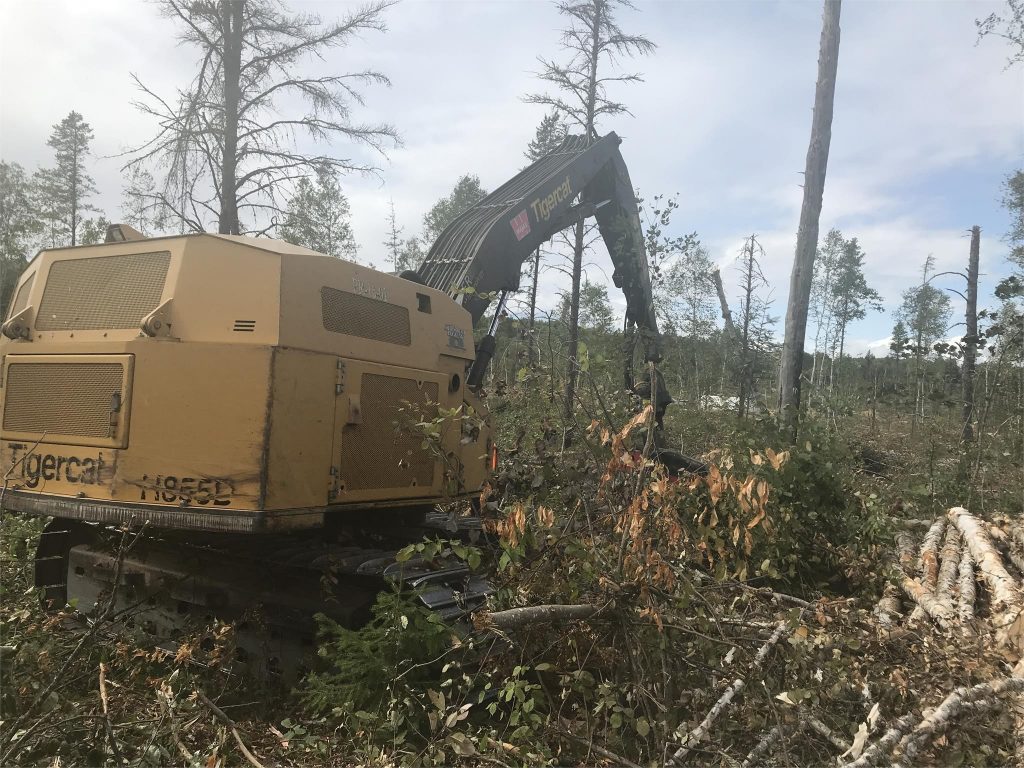 TIGERCAT H855D Excavtor