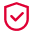 shield check icon